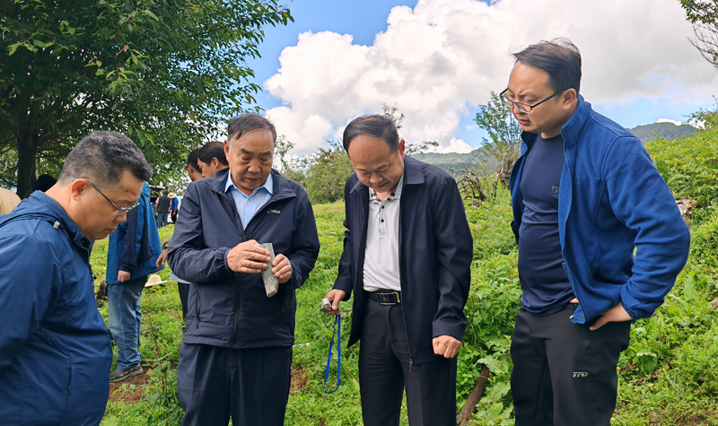 实地指导查看岩芯照片.jpg